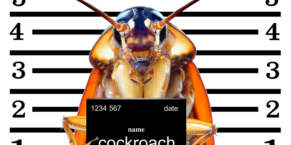 A cockroach's mugshot
