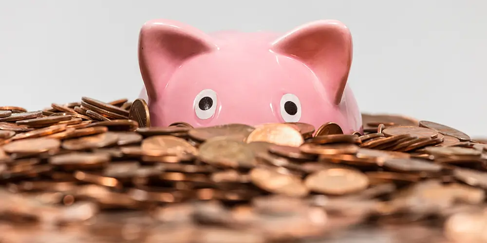 Piggy bank swimming in cash