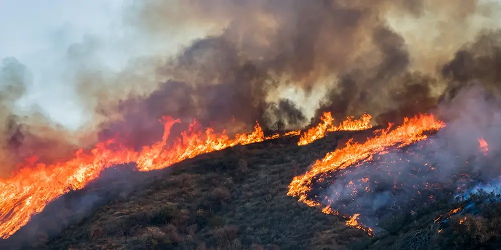 How Wildfires Affect Your Water Quality in Orange County