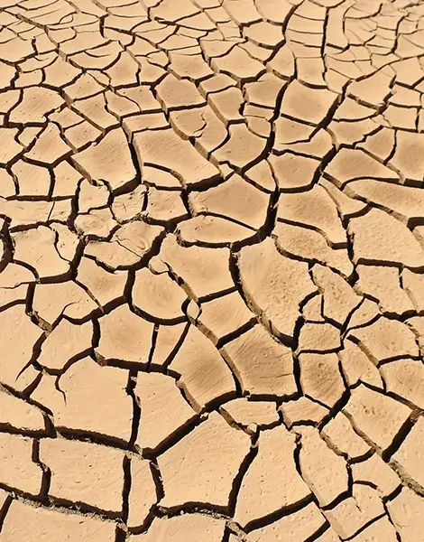 Cracked dried land
