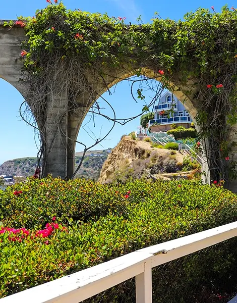 Stone arches covered with flowering plants in Dana Point