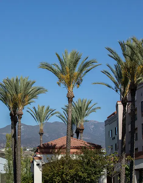 Downtown area of Foothill Ranch in Lake Forest